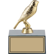 ODAK KUPA - Hediyelik Ürünler - HDY-042 C - 12 cm