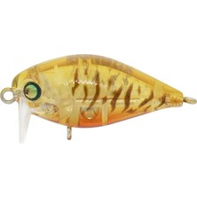 Kunduz kg SB-106 Teke