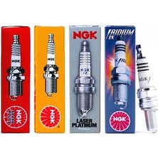 Triumph America 790 Buji Ngk DPR8EA-9 Nikel