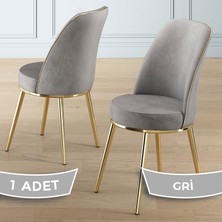 Canisa Pefa Serisi 1 Adet Gri Mutfak Sandalyesi Gold Kaplama Metal Ayak  Babyface Kumaş