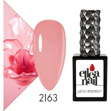 Ellea Nail Kalıcı Oje 2163