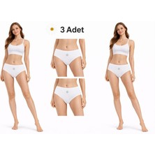 Papatya Modal Bikini Kadın Külot Beyaz 3' lü Paket