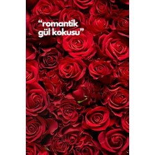 Alya 's Scents Rose- Gül Oda Kokusu Yedek Makine Spreyi 250 ml