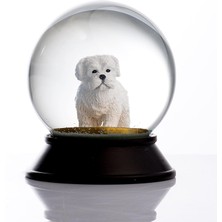 Cam ve Reçine Altın Patiler Köpek Maltese Terrier Kar Küresi Hediye