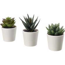 IKEA Fejka Saksılı Yapay Bitki, 6 cm