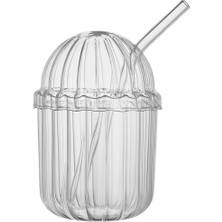 500ML Cam Kapaklı Pipetli, Kalın Çizgi Desenli Soğuk Içecekler Için Kahve Meyve Suları, Çayları Için Brokosilikat Bpa Içermeyen Sağlıklı Ergonomik Şık Tasarım