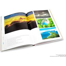 The Art Of Porco Rosso