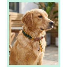 Elar Aksesuar İsimli el yapımı paracord ve deri köpek boyun tasması – örgü slim 02