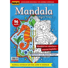 Maxi Mandala Çizgilerle Boyama Terapisi 4