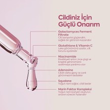 Clasycare Retinol Yüz Serumu – Kadınlar Için Gece Serumu – Seramid, Hyaluronik Asit ve Peptit Içerikli Nemlendirici Serum – Kırışıklık Karşıtı & Cilt Tonu Eşitleyici, 50 ml