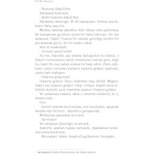 Bir Akşamdı