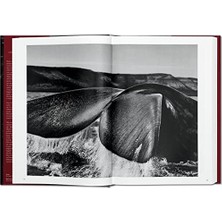 Sebastião Salgado. Genesıs