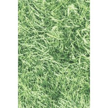 Desenli Kendiliginden Yapışkanlı Kaplama Folyosu 45 cm x 1 mt ELF029