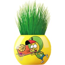 Kral Şakir Temalı Çim Adam 6'lı Set – Çocuklar Için Eğitici ve Bitki Yetiştirme Kiti