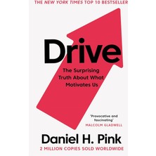 Drive: The Surprising Truth About What Motivates Us