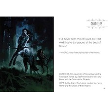 The Art Of Harry Potter: Mini Book Of Creatures