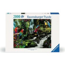 2000 Parçalı Puzzle Renkli