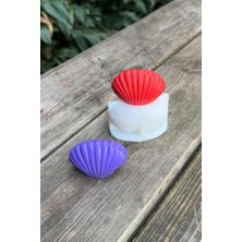 Deniz Kabuğu 3D Mum Kalıbı (Silikon)