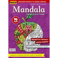 Maxi Mandala Çizgilerle Boyama Terapisi 3