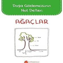 Ağaçlar - Doğa Gözlemcisinin Not Defteri