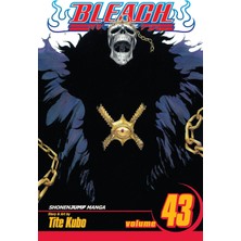 Bleach, Vol. 43: Kingdom Of Hollows: Volume 43