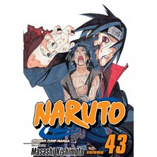 Naruto, Vol. 43