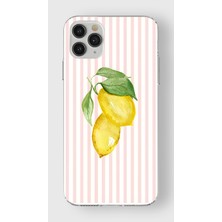 Manitoba Iphone 11 Pro Uyumlu Baskılı Yumuşak Silikon Şeffaf Telefon Kılıfı