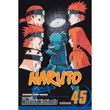 Naruto, Vol. 45