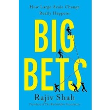 Big Bets: How Large-Scale Change Really Happens