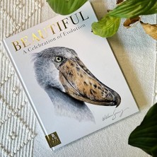 Beautiful: A Celebration Of Evolution