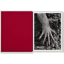 Sebastiao Salgado. Genesıs. Postcard Set