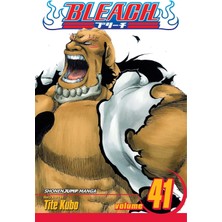 Bleach, Vol. 41: Heart: Volume 41