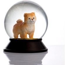 Cam ve Reçine Altın Patiler Köpek Pomeranian Boo (Kayısı) Kar Küresi Hediye