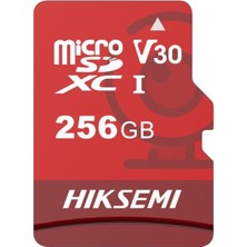 Hs-Tf-E1 256 GB Micro Sd