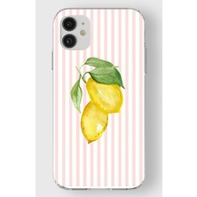 Manitoba Iphone 11 Uyumlu Baskılı Yumuşak Silikon Şeffaf Telefon Kılıfı