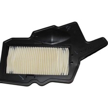 Msr TVS RAIDER 125 HAVA FİLTRESİ ORJ N6040620