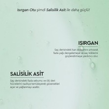 Otacı Botanics Yağlanma Karşıtı Bakım - Isırgan Otu ve Salisilik Asit Içeren Bitkisel Şampuan