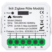 Mini Iki Çıkışlı Anahtar (, Smart Life, Assistant, 2mqtt Uyumlu)