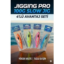 FB Cup 100G Slow Jig 4'lü Avantaj Seti - Derin Su ve Akıntı Için Suni Yem