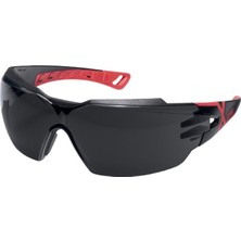 Uvex 9198175 Pheos Cx2 Ir-Ex Gözlük