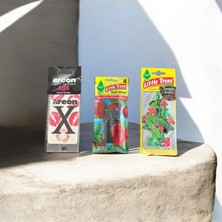 Little Trees Oto Kokuları