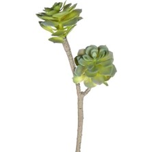 Yapay Sukulent Kaktüs Yeşil 50 Cm.