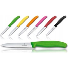 6.7633.6 8 cm Tırtıklı Soyma Bıçağı Renkli 6 Ad