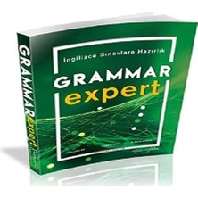 Modern English Grammar Expert