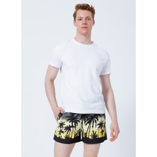 Quiksilver Everyday Paradise Volley 15 Erkek Yeşil Volley Short