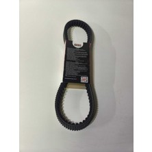 MTYL Kanuni Seha 125 150 Uyumlu Japon Üretim Bando Soğutuculu Kayış