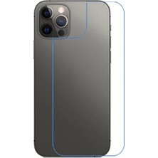 Najmaddin Ally Iphone 12/12 Pro 6.1 Inch Tempered Arka Kırılmaz Cam KORUYUCU-(5775) - NJ001P-4GCZY9