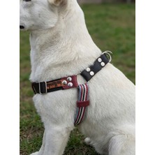 Balkonda Köpek Göğüs Tasması Orta ve Büyük Irk Ayarlamalı Kolon Kordon Çok Renkli & Siyah