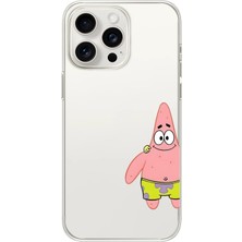 Manitoba Iphone 13 Pro Max Uyumlu Baskılı Yumuşak Silikon Şeffaf Telefon Kılıfı