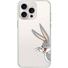 Manitoba Iphone 14 Pro Uyumlu Baskılı Yumuşak Silikon Şeffaf Telefon Kılıfı